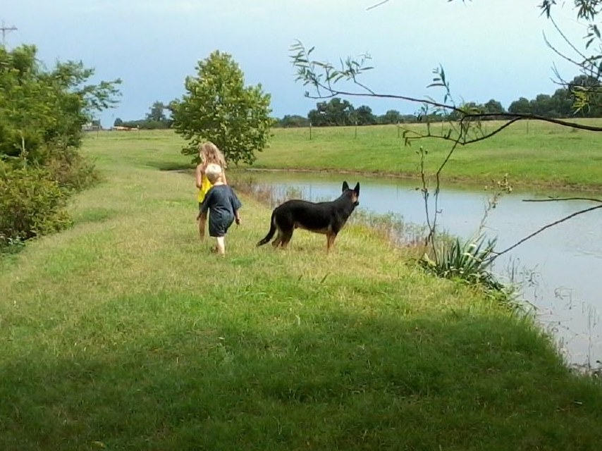 A day with the&nbsp;grandkids